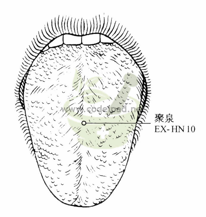 聚泉