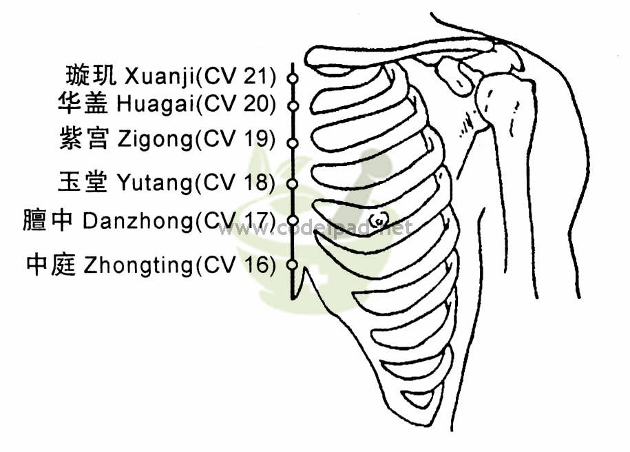 玉堂