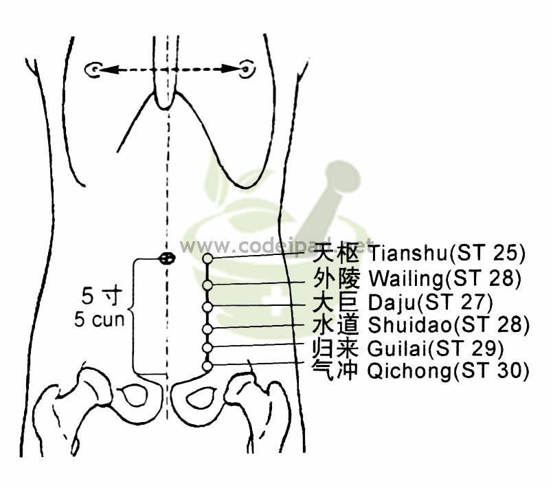 大巨