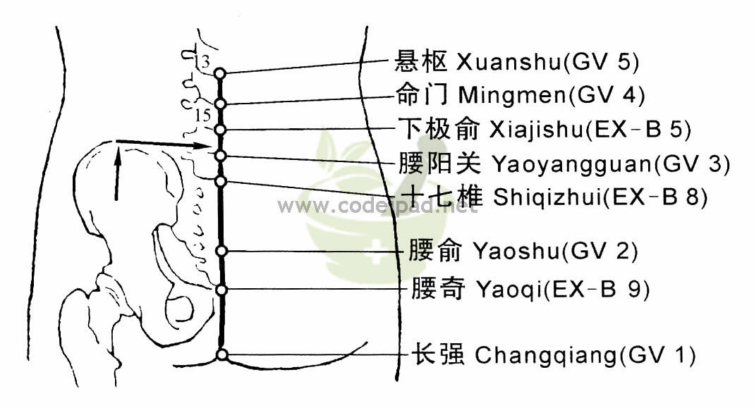 腰奇