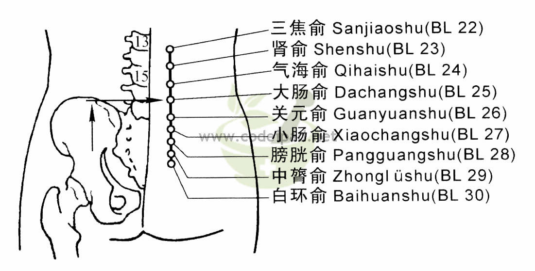 小肠俞