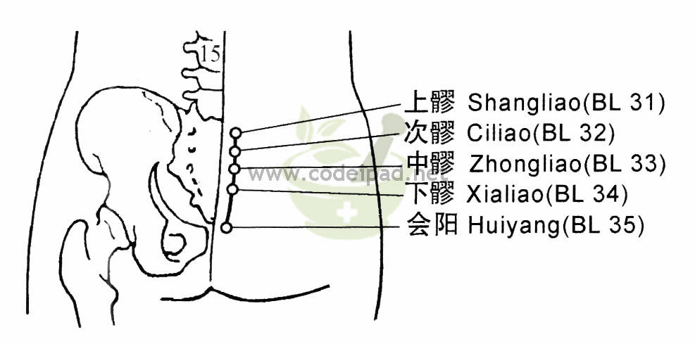 次髎