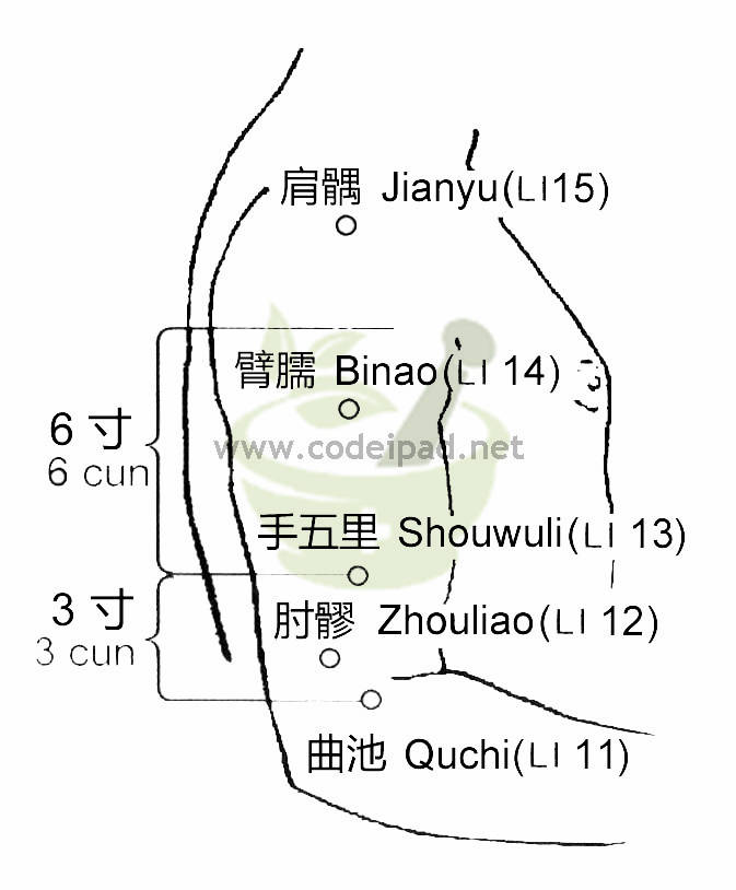 肘髎