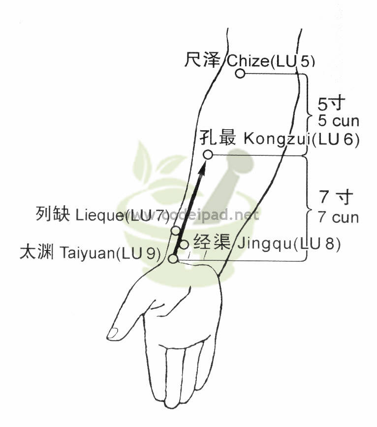 太渊