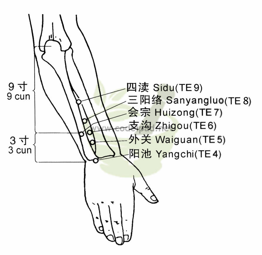 四渎