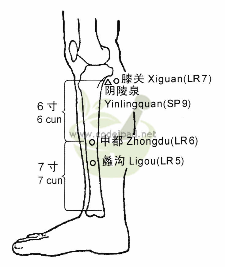 中都