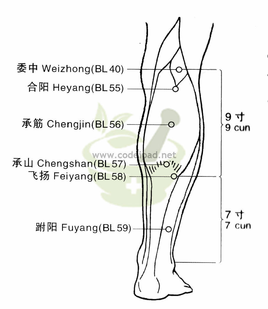 飞扬