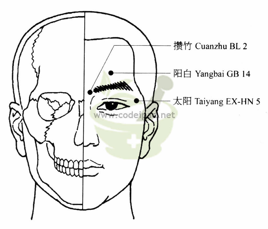 太阳