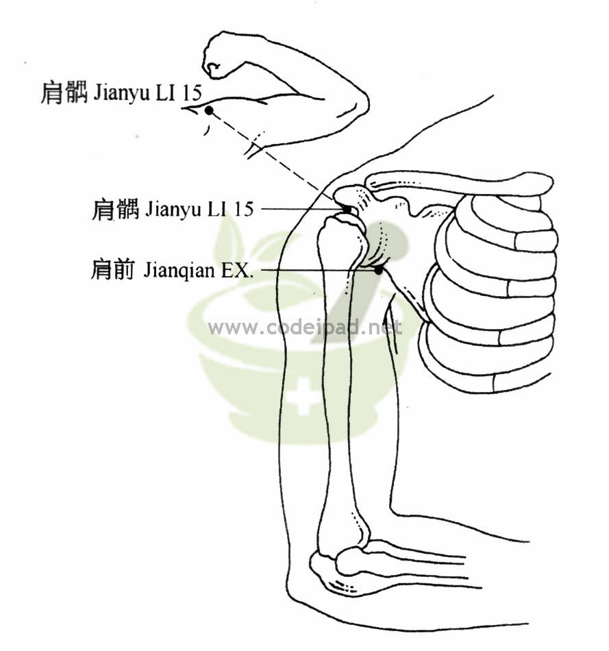 肩前